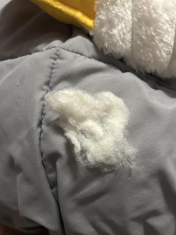 Stuffing out of duck, from smaller hole, again became bigger.