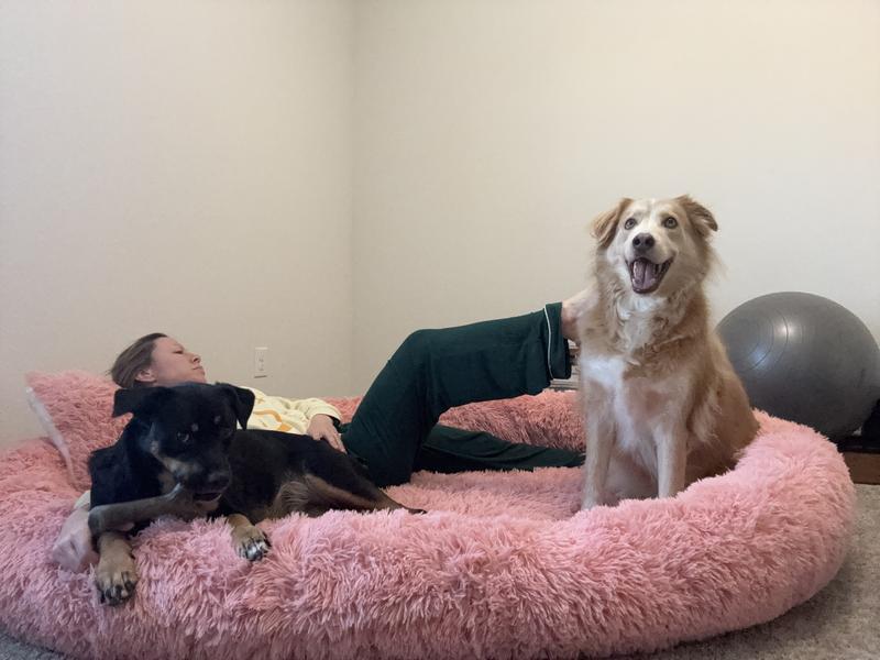 Large enough for a pet parent to relax with their dogs.