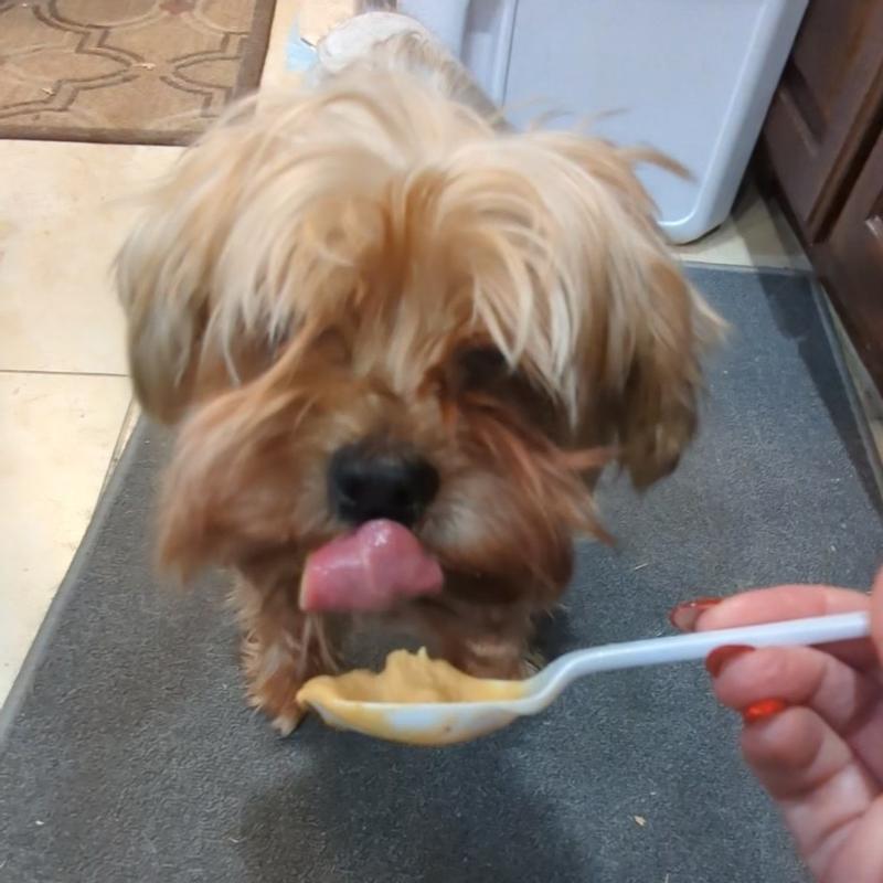 Little guy enjoyed it the most