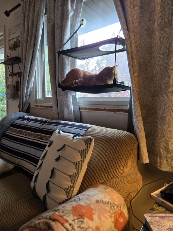 Guarding the bird feeder