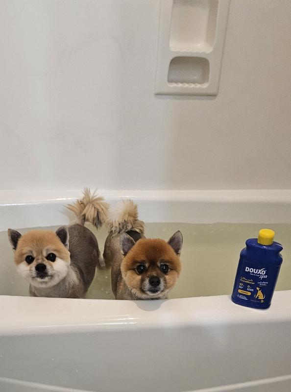 Hauss & Jax feeling great after using their new conditioner