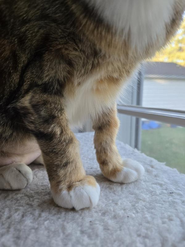 This is 3 weeks of medication