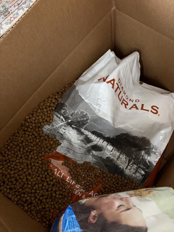 Busted dogfood bag with dog food everywhere