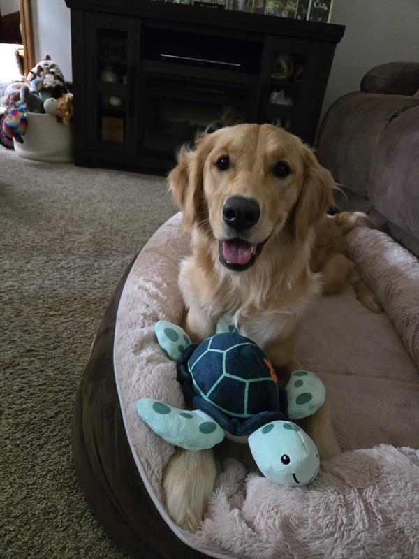 Adorable