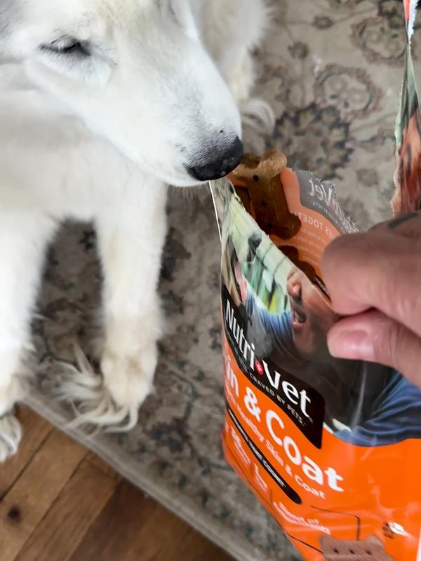 Waiting patiently…