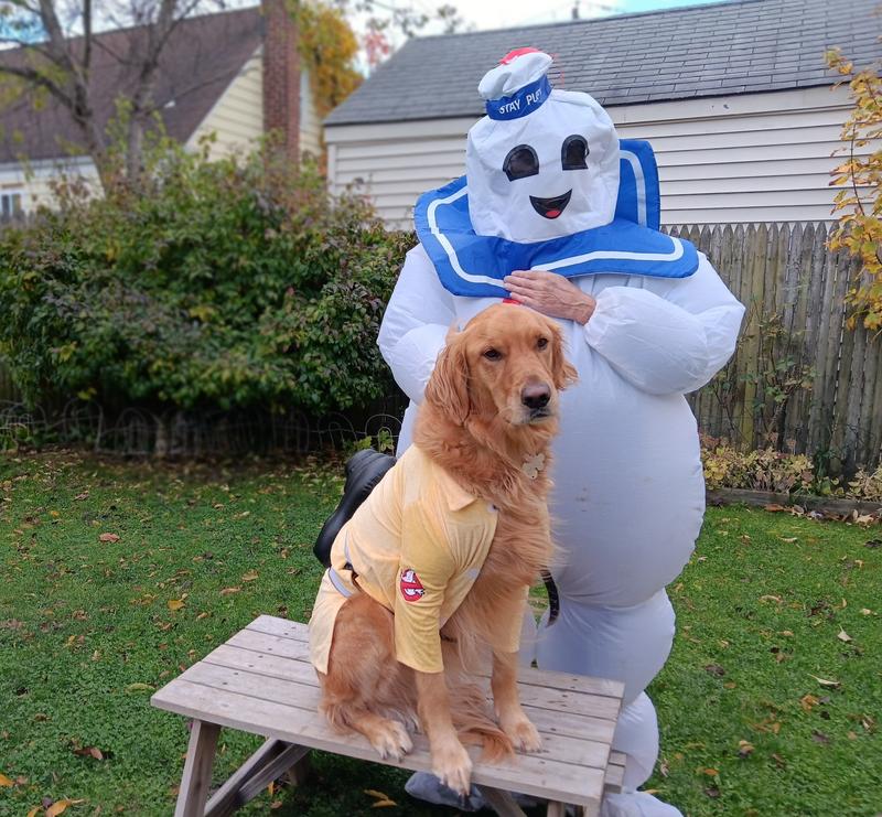 Cooper is not afraid of any ghosts