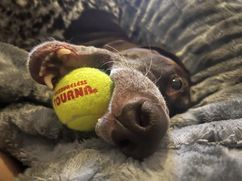 Bloo showing off his new ball!