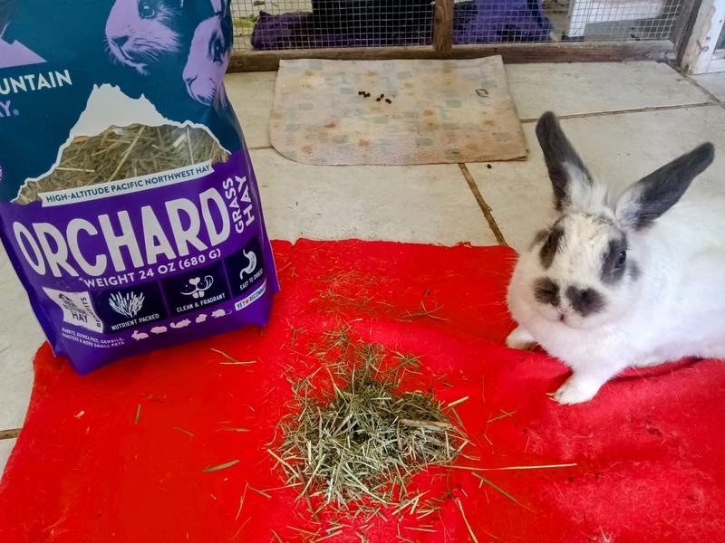 "Mommy, 
Can I have some?