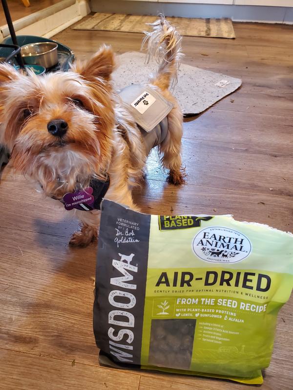 Willie is ready for his treat.