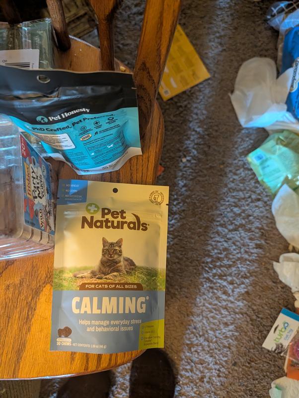 Not a good fit for my cats