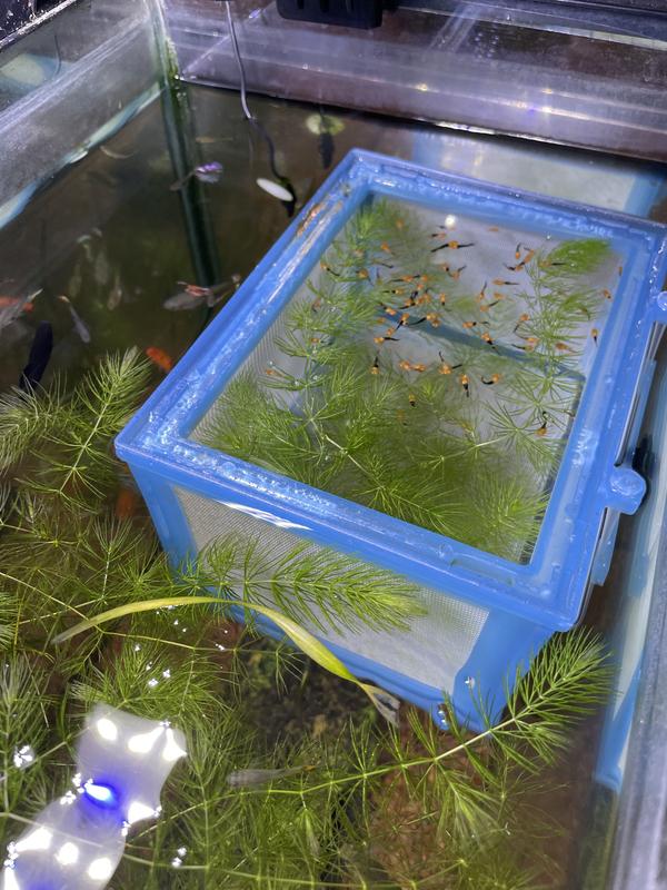 Too low in the water.