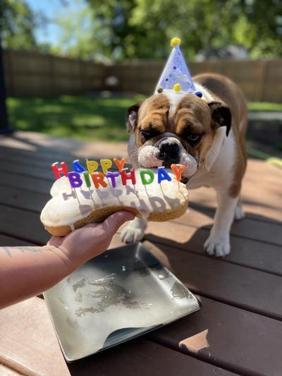 Finley and her first birthday!