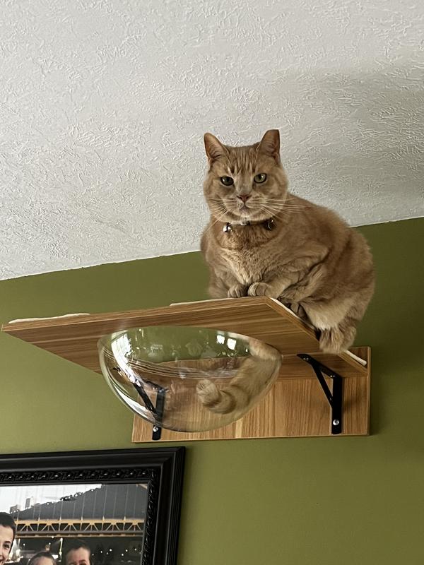 Mabel says we’re crazy if we expected her to use this.  😂