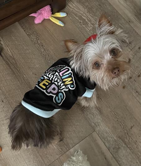 Pup Crew Just Chillin Santa Dog & Cat T-Shirt