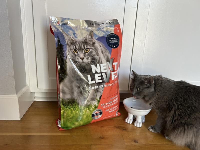 Whisker Lickin' Good