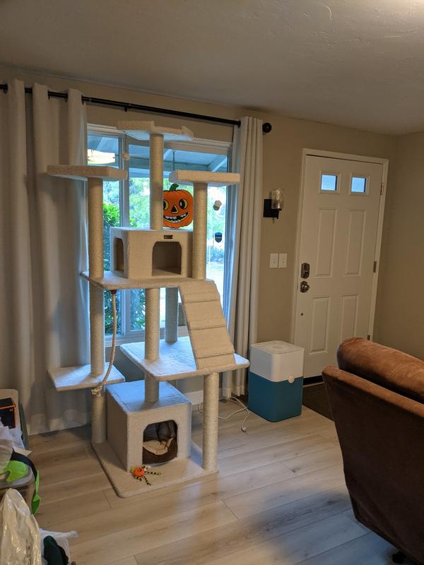 This fits perfectly in our house. Almost thought it was too tall for our cat, but he manages just fine on the top.