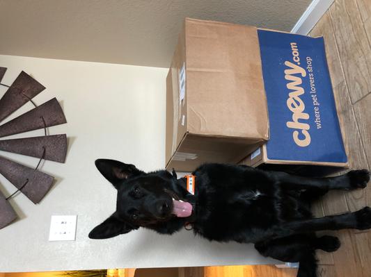 Hudson agrees with Chewy deliveries!