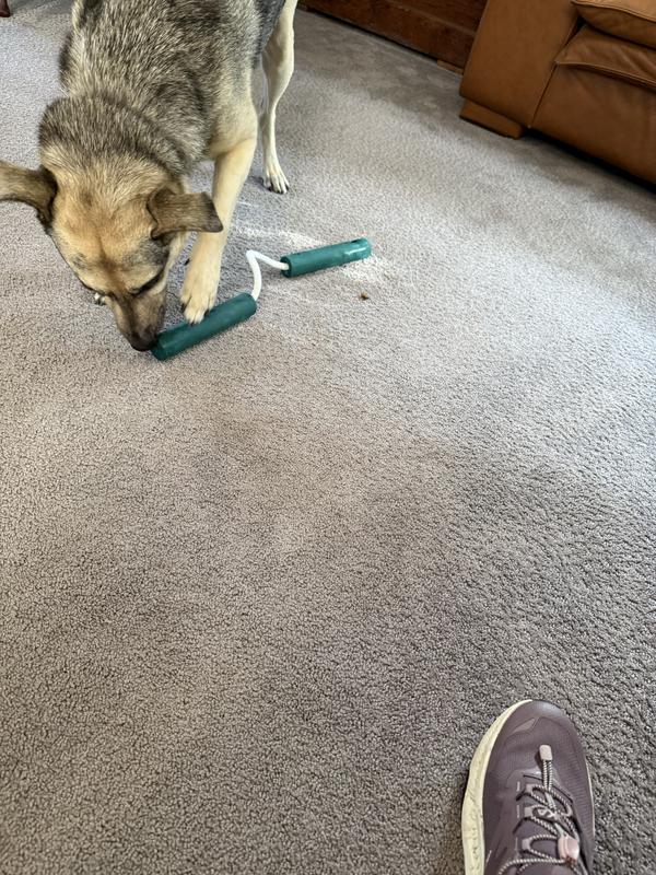 oops she missed one sneaking out the other end