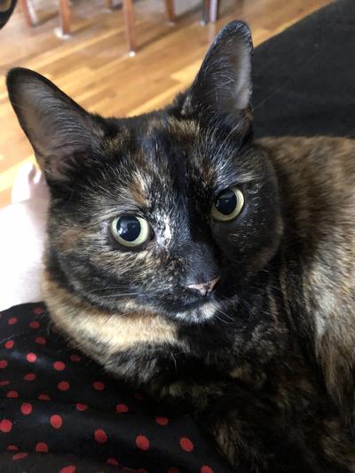T'is Herself... Pepper!