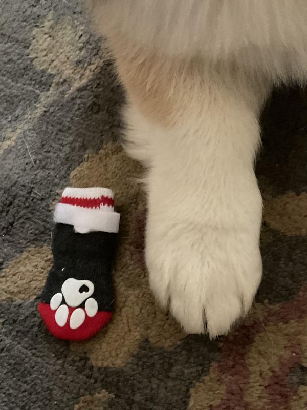 FRISCO NonSkid Dog Socks, Heather Gray, Size 3