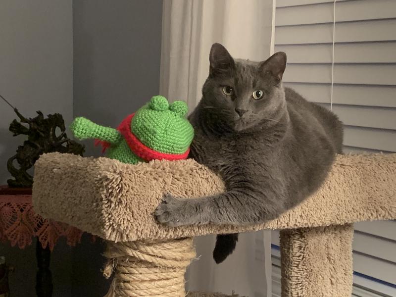 Shadow loves this stuff