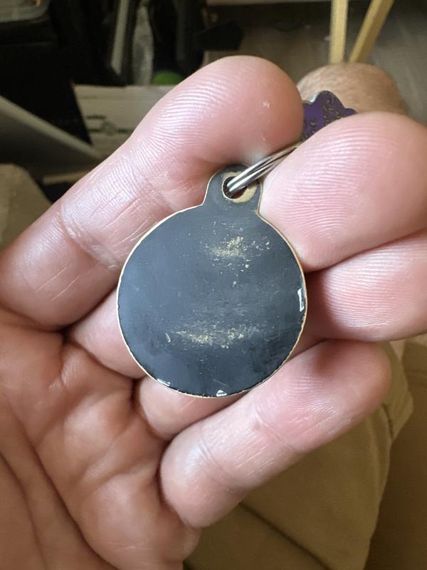 “What’s this?!”