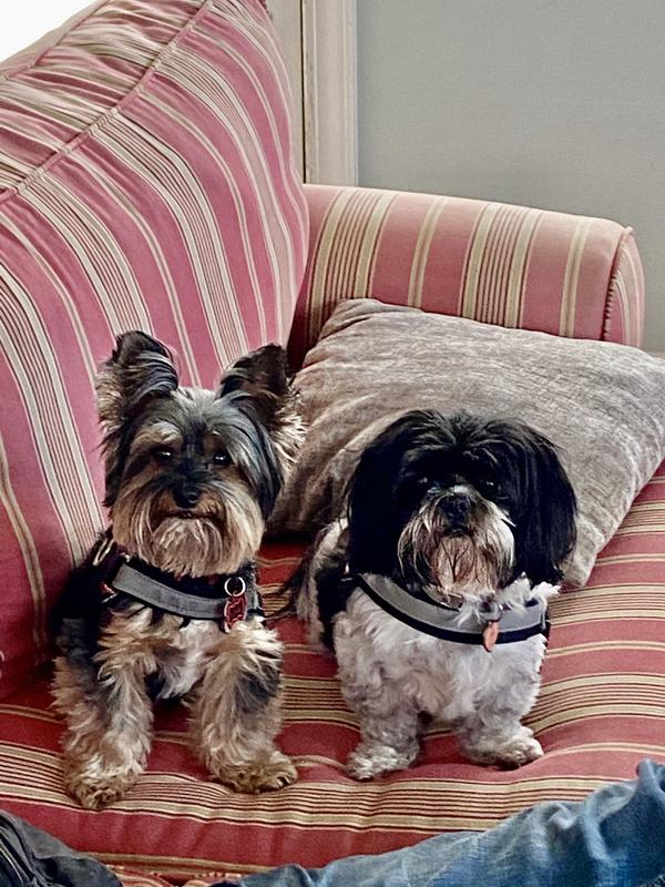 Two cuties waiting to be served