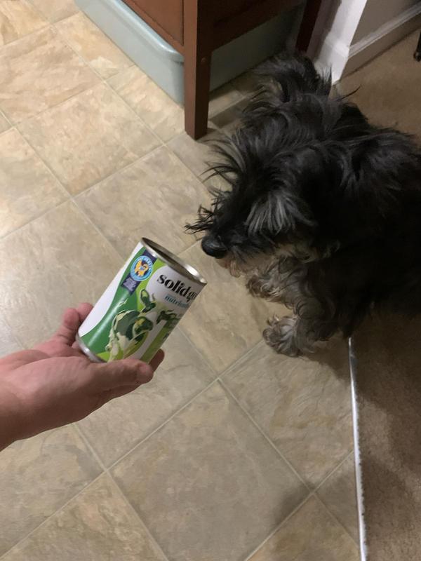 SOLID GOLD Green Cow Beef Tripe Loaf for Picky Eaters GrainFree Wet