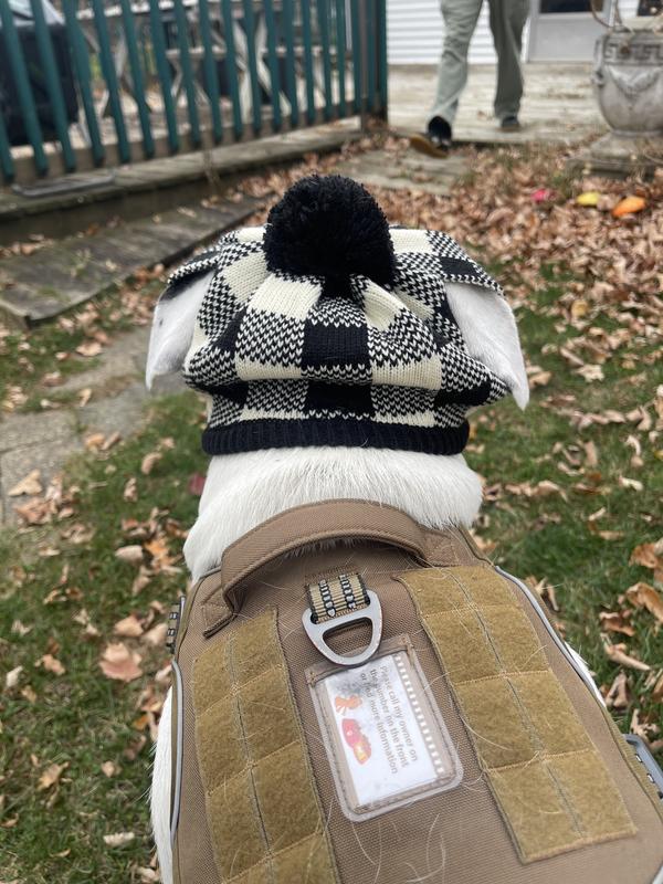 Little French looking boy.