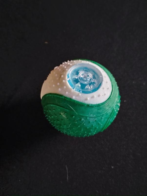 Clear plastic partially chewed.