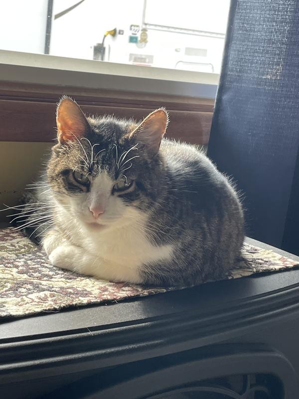 Millie