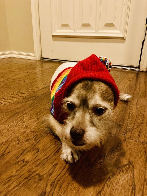 Not sure he wants the hood up!