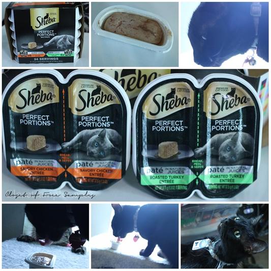 Cats trying their new treats!