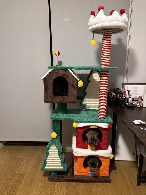 From the floor to almost the ceiling. Perhaps half an arm off from the ceiling