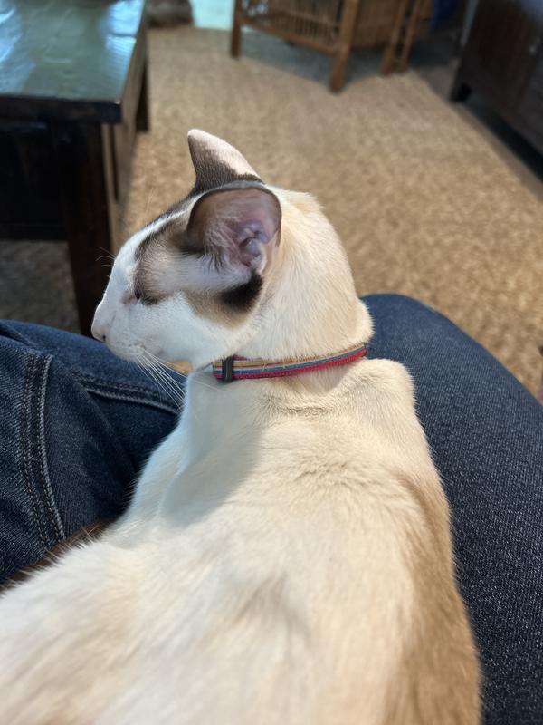 Haze has her own style!