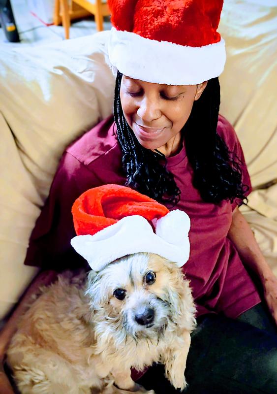 Jordan looks for Santa cause Chewy is his favorite box..