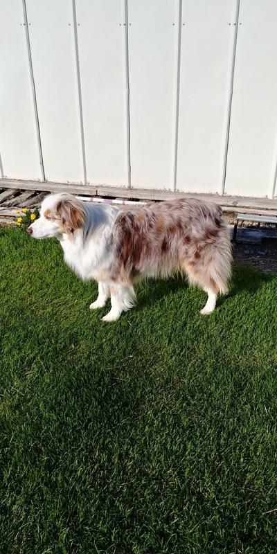 Here's RazzMaTaz on guard duty