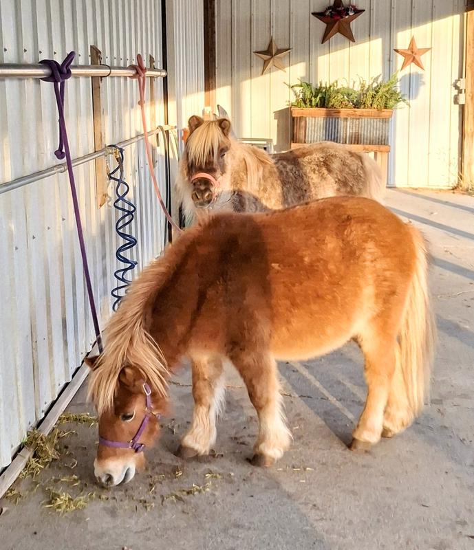 Gracie and Gigi approve!