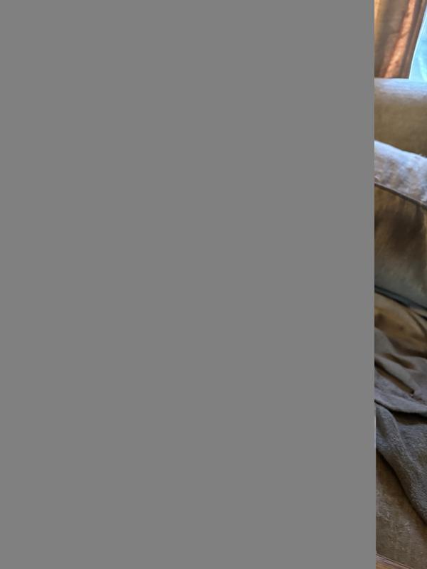 Loves his new Grateful Dead toy