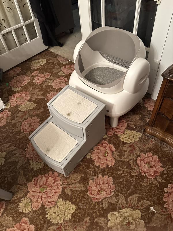 Bought for my obese, older Kitty who is claustrophobic