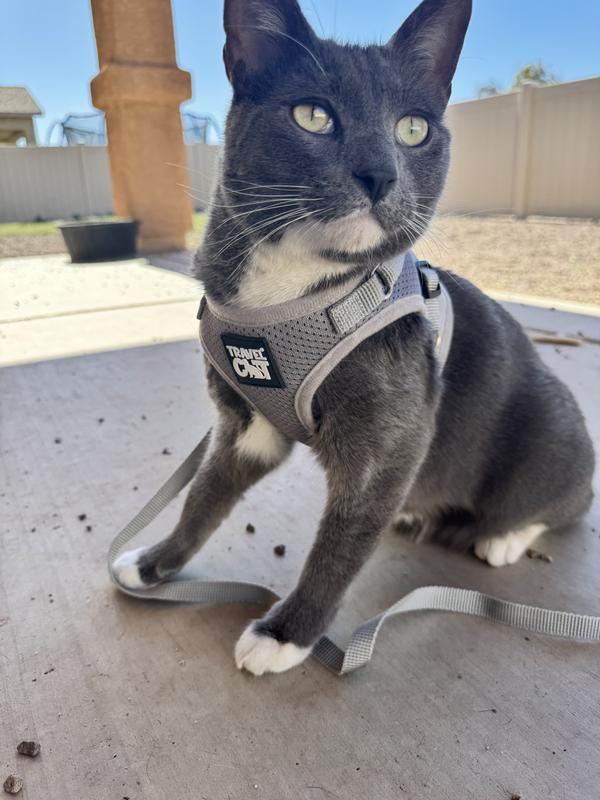 Kibbie’s first try