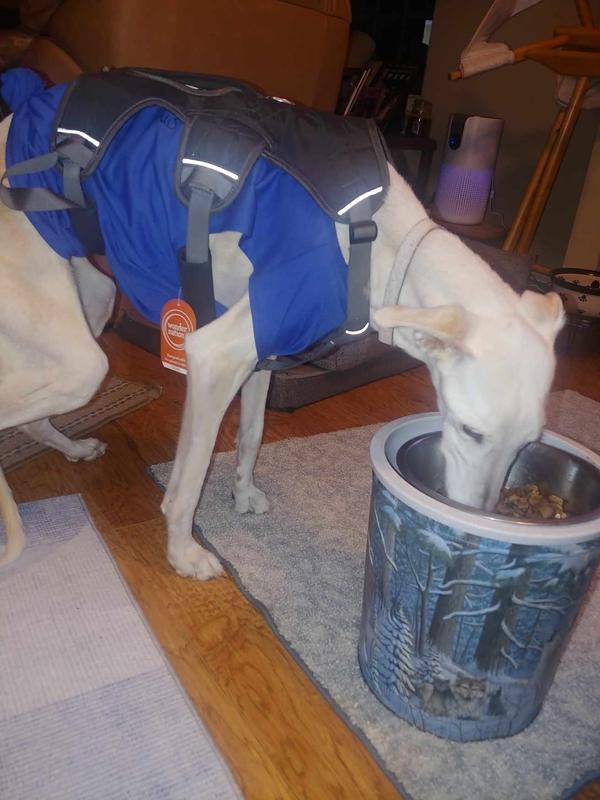 Now she's interested in her food!