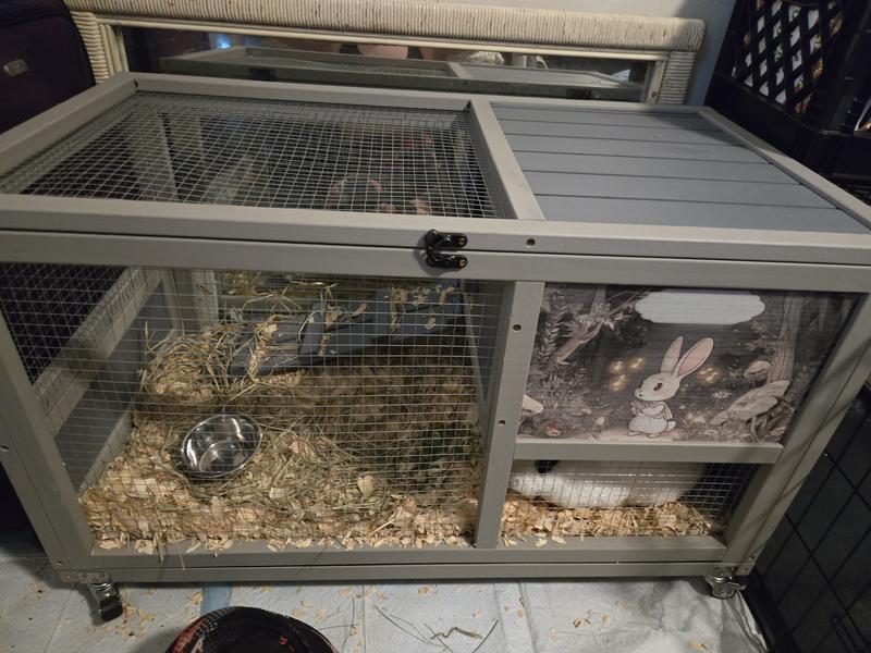 Bunny cage