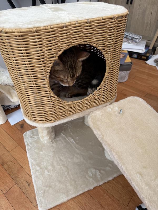 Settled in before it was even completed