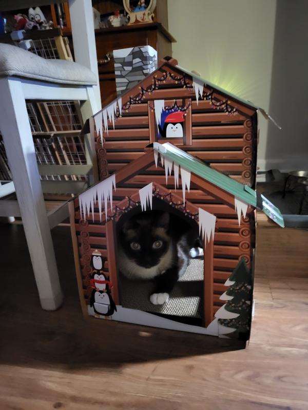 I'm home! Come on in!