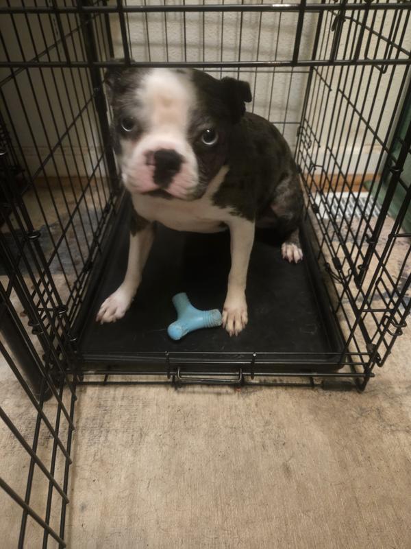 Yes she always looks sad lol she pouted because I stopped her chew session