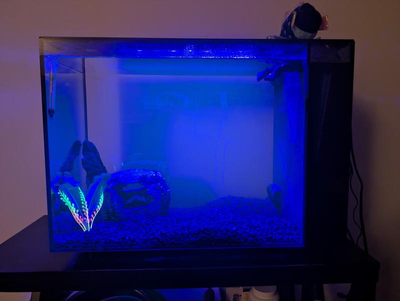 "night" light setting. there is also an "off" setting