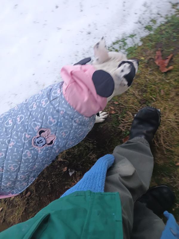 Disney Mediumweight Minnie Mouse Quilted Puffer Dog & Cat Coat