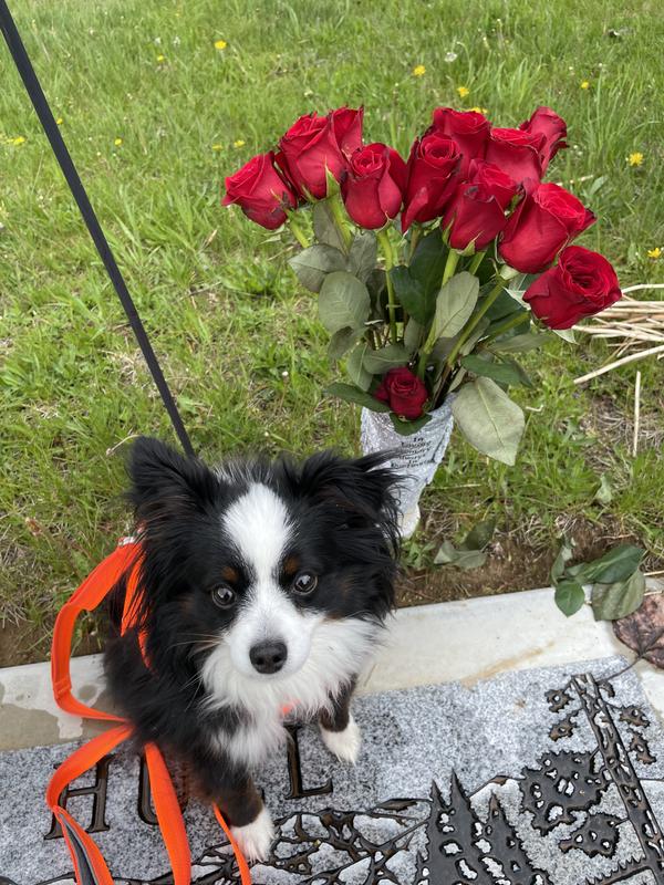 Going to see Grandma