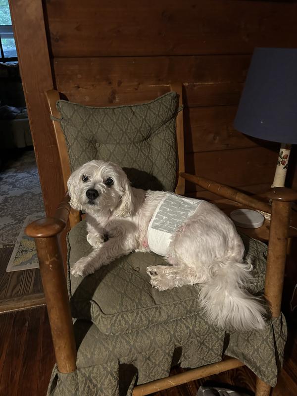 Kramer does not mind the bind and he leaves no mark behind.